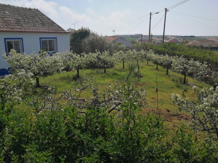 Casa Da Ti' Milia Villa Encarnacao Екстериор снимка